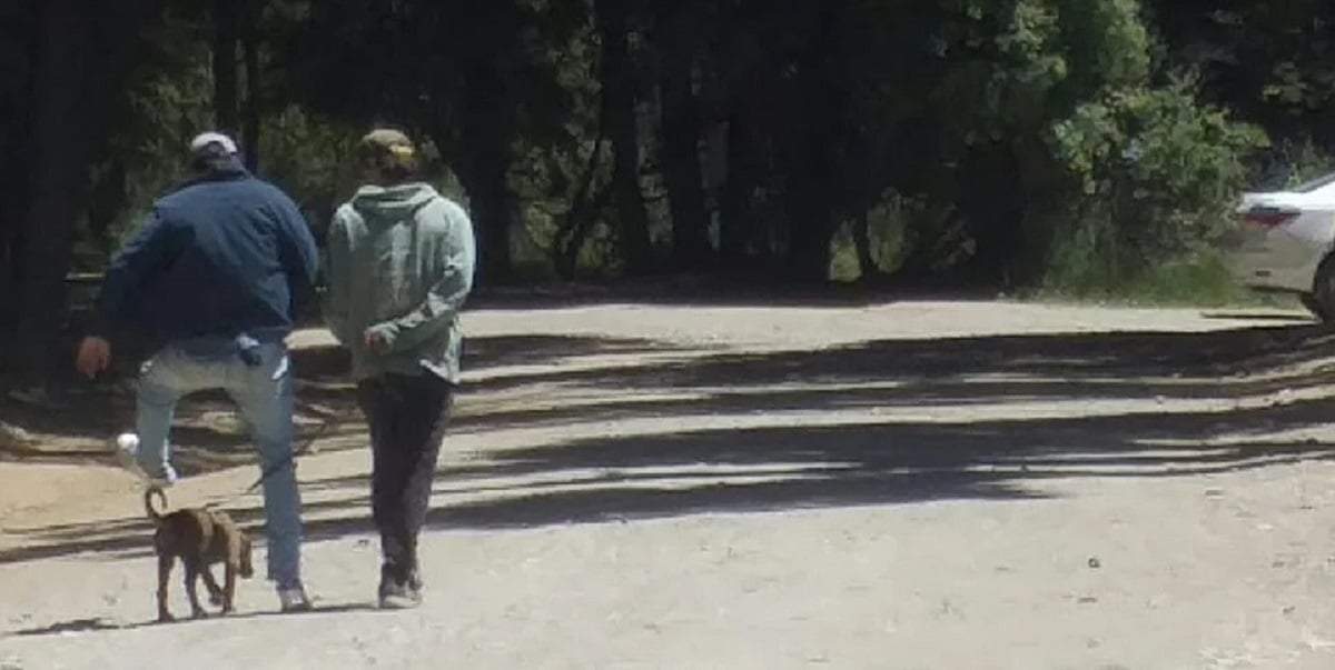 Residentes ingresaron con mascotas al Parque Nacional Nahuel Huapi. Fuente: (Facebook)