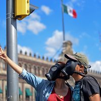 Tragicómica "nueva normalidad" y saber mirar