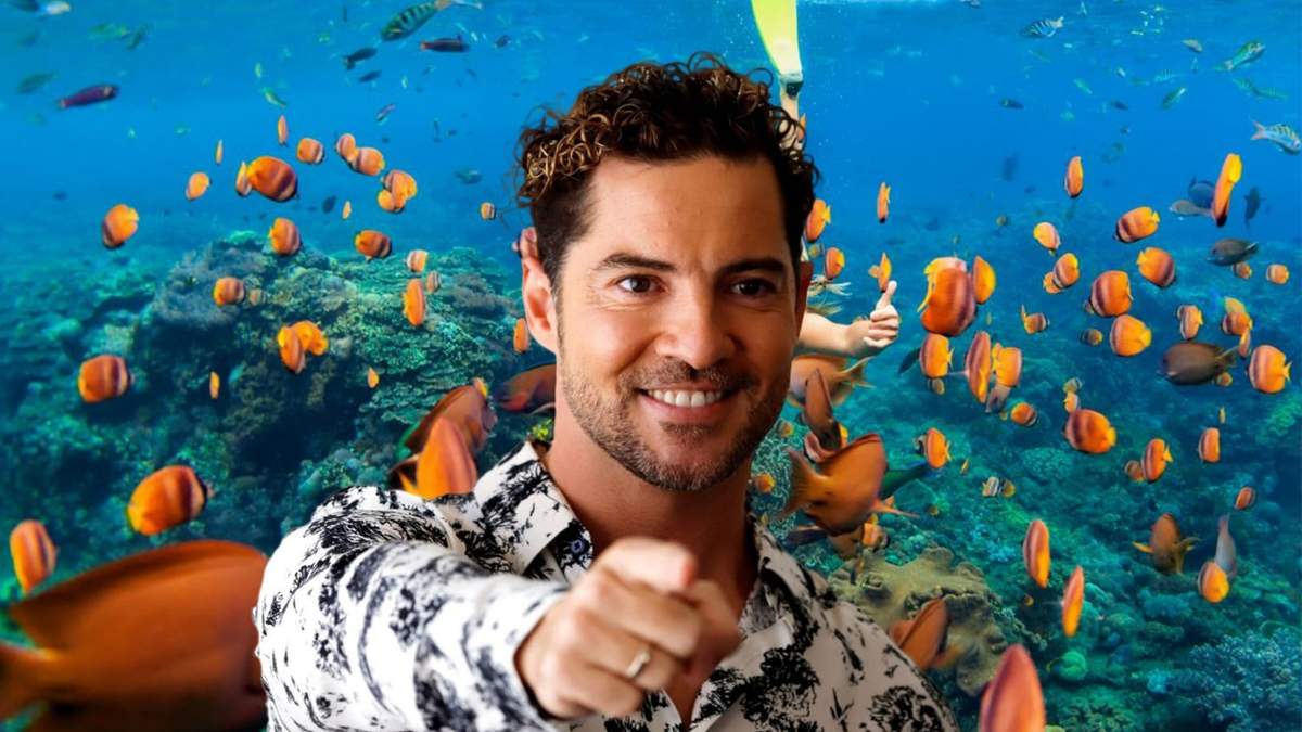 David Bisbal. Fuente: (Minuto Neuquén)