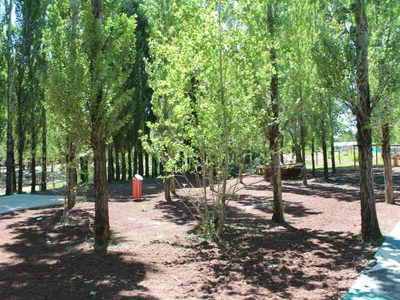 Zapala evalúa nuevas obras en el Bosque Comunal