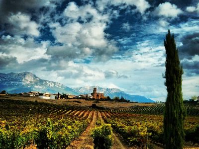 Crecen las visitas online en las Rutas del Vino de Castilla y León