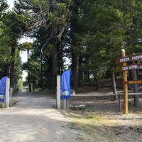 Villa Pehuenia: el Vivero Luis Puel firmó importante convenio con el municipio