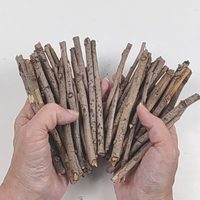 Aprovechá el Invierno para juntar ramas secas: mirá esto tan lindo que podés crear para ponerle onda a tu jardín