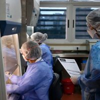 La Argentina llegó a 41.204 contagios de coronavirus