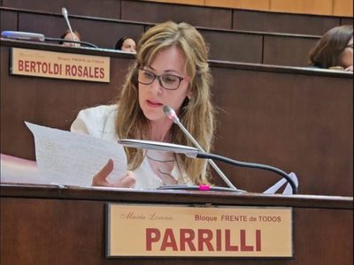 Parrilli cuestionó algunos aspectos del Plan Provincial de Becas propuesto por Figueroa