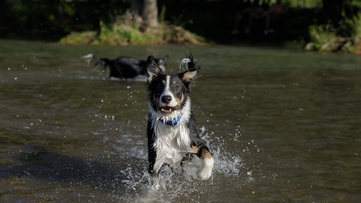 Refrescarse en el río será una de las mejores opciones. Fuente: (Emiliano Ortiz)