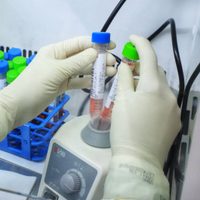 Alerta: Salud confirmó 17 nuevos casos de la variante Delta