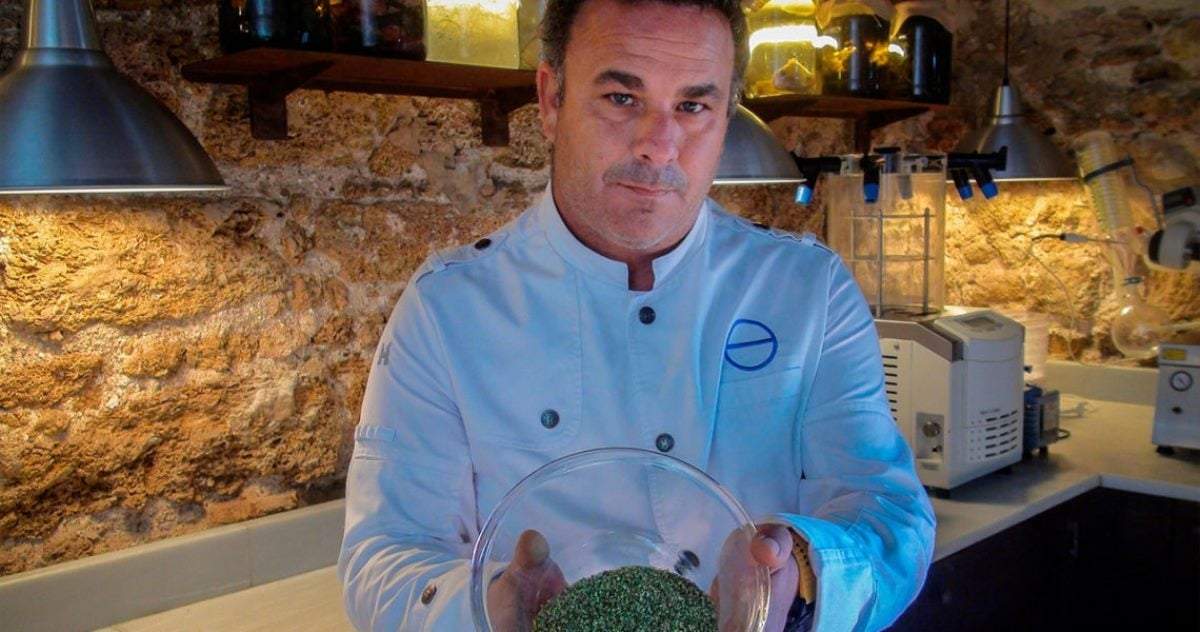 Cultivan en España un nuevo superalimento que está en el mar. Fuente: (Instagram)