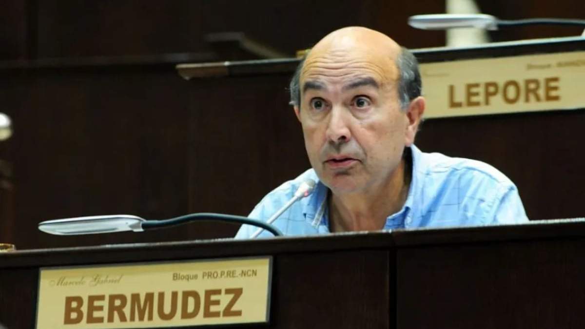 El diputado provincial del PRO, Marcelo Bermúdez. Fuente: (X)