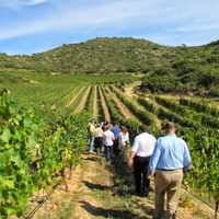 Bodegas toman medidas de prevención por Coronavirus