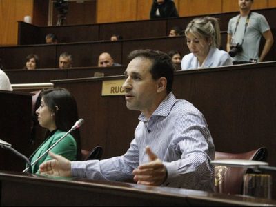 Claudio Domínguez se mostró dispuesto a tratar el proyecto de presentismo para legisladores