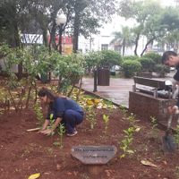 Buscan fomentar un polo turístico inspirado en la yerba mate