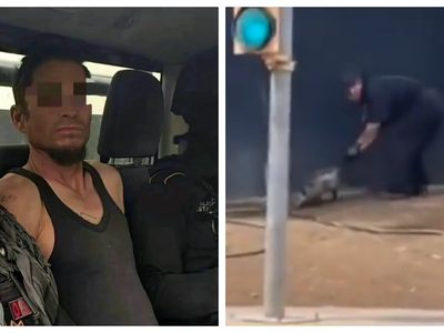 Detienen a sujeto que azotó hasta la muerte a un Tlacuache en Monterrey (Video)