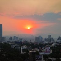 Hoy No Circula y Contingencia Ambiental: qué autos paran el jueves 20 de marzo