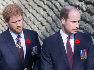 Nuevo enfrentamiento entre los príncipes Harry y William por un tema que incomoda a la familia real