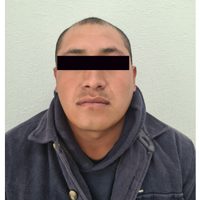 Detienen al sexto implicado en el crimen del "Niño Montessori"