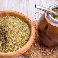Destacan la Ruta de la Yerba Mate a nivel provincial como riqueza turística