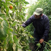 El Gobierno oficializó el programa para trabajadores rurales: los detalles de la nueva estrategia