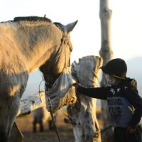 El nene y su caballo: varado en un pueblo de Neuquén, pudo cumplir su sueño