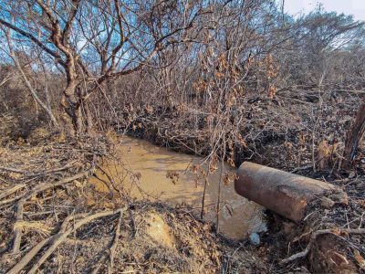 Oaxaca: Fugas de amoniaco, hedor a muerte e indolencia oficial