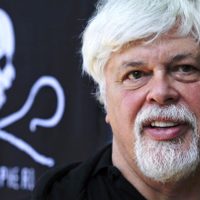 Dinamarca libera al activista contra la caza de ballenas Paul Watson y no lo extraditará a Japón