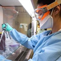Zapala: 37 casos positivos de coronavirus confirmados