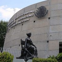 INE invalidará a ganadores por cometer violencia de género o que sean deudores alimentarios: TEPJF