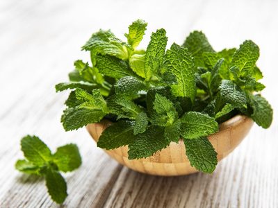 Menta: así de fácil podés cultivar esta planta y darle múltiples usos en tu cocina