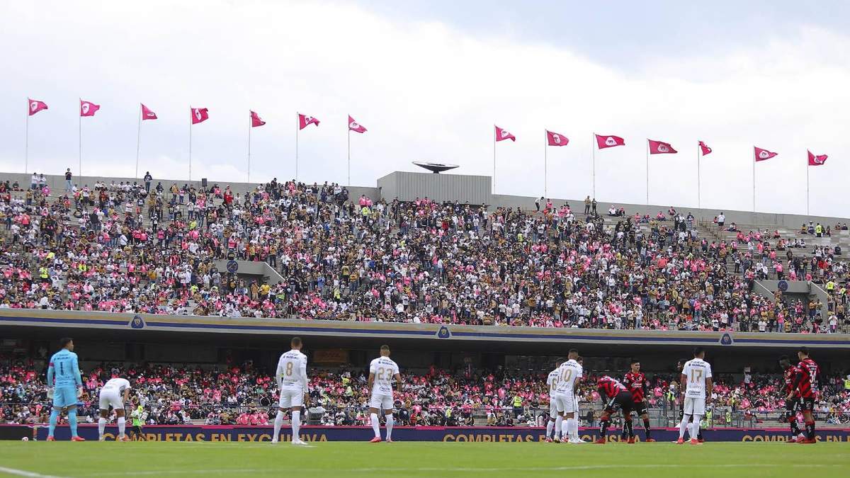 Partido en el estadio de Los Pumas de la UNAM