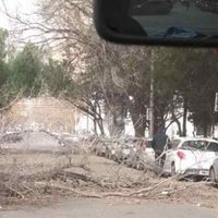 "Lo que las ráfagas dejaron": Perjuicios en Neuquén por el temporal de viento