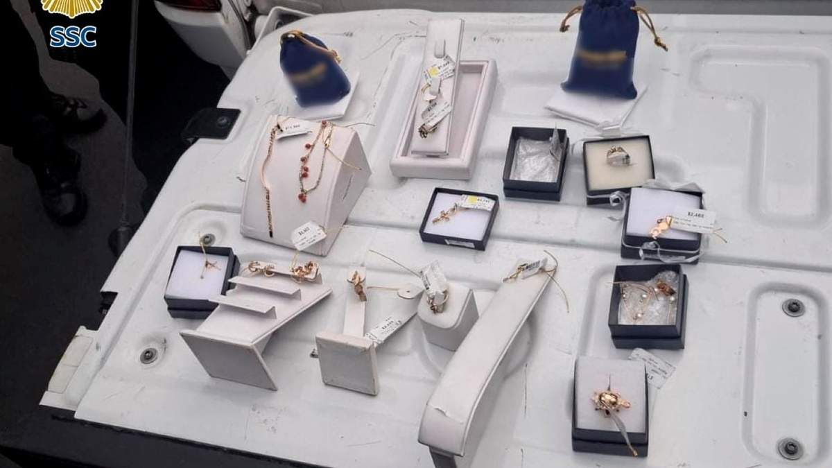 En un establecimiento se sustrajeron 14 piezas de oro