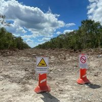 Denuncian ecocidio por obras del Tren Maya en Playa del Carmen