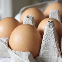 No tires los maples de huevos y mirá cómo usarlos para tener una huerta de revista en poco espacio