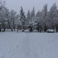 Continúa nevando en Zapala y comienzan a surgir los inconvenientes