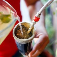 Comenzá febrero con esta receta de tereré detox para desinflamar y llenarte de energía