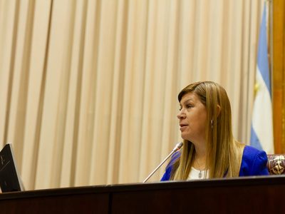 Gloria Ruiz volvió a cuestionar la contratación de Horizonte Seguros como ART de los estatales de Neuquén