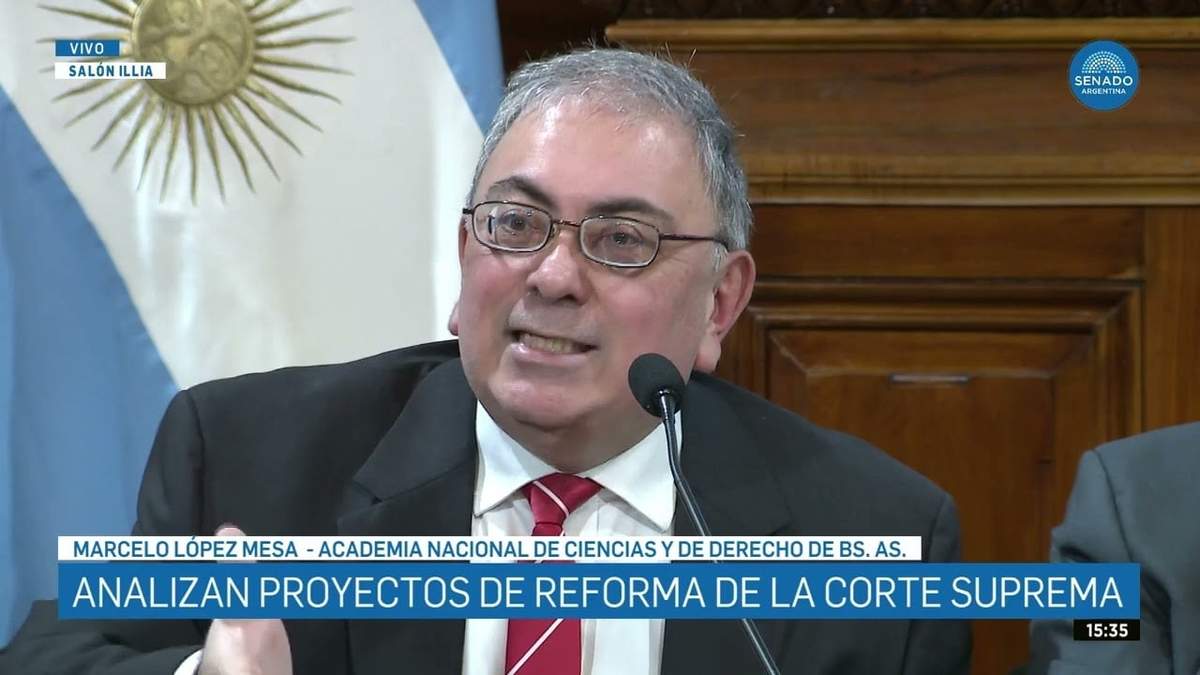 Marcelo López Mesa, integrante de la Academia Nacional de Ciencias y  Academia Nacional de Derecho de Buenos Aires, expuso en la comisión del Senado.
