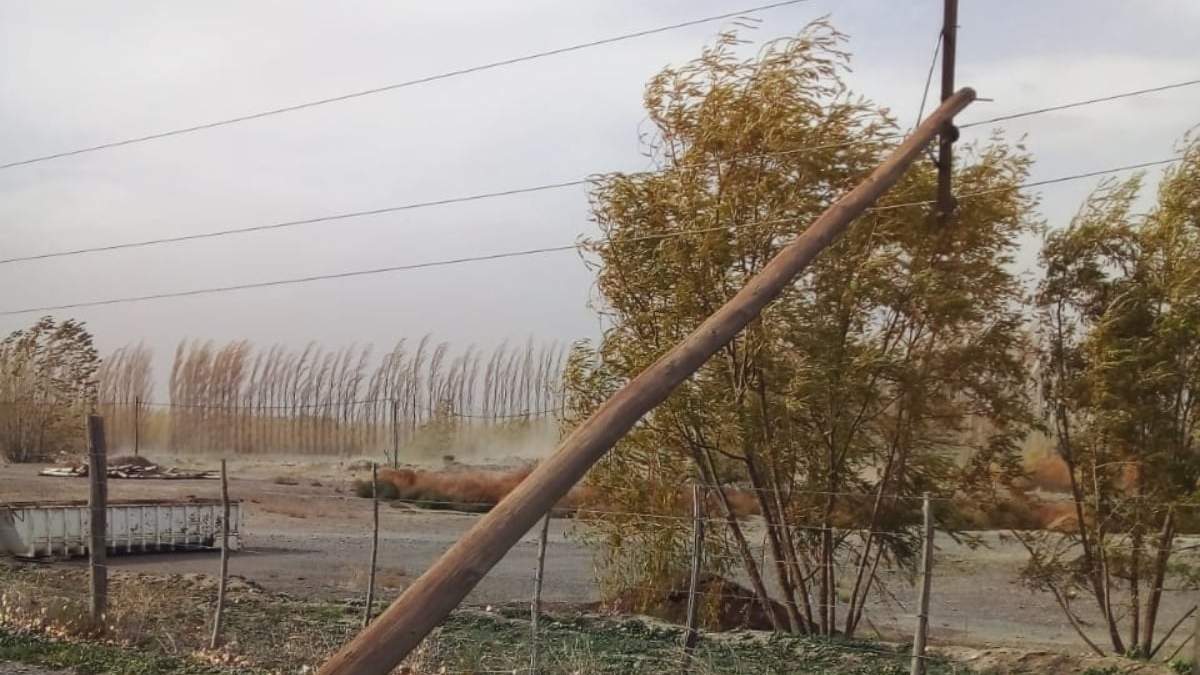 Caída de un poste de luz en Río Negro. Fuente: (Twitter)