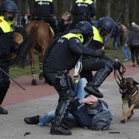 Holanda se prepara para elecciones generales en medio de protestas antibloqueo