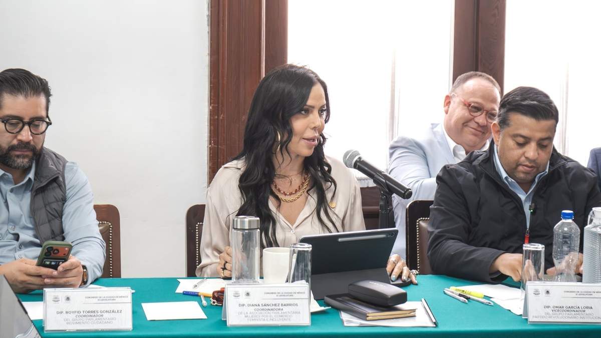 La diputada Diana Sánchez Barrios