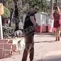 “Amarra al niño": Un sujeto agrede a la madre de un menor presuntamente atacado por pitbulls (Video)