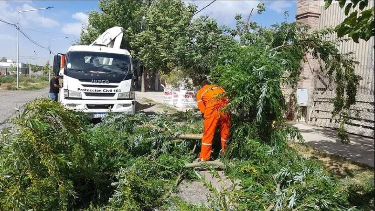 Personal de Medio Ambiente la ciudad de Neuquén trabajó para quitar las ramas que tiró el viento. Fuente: (Facebook)