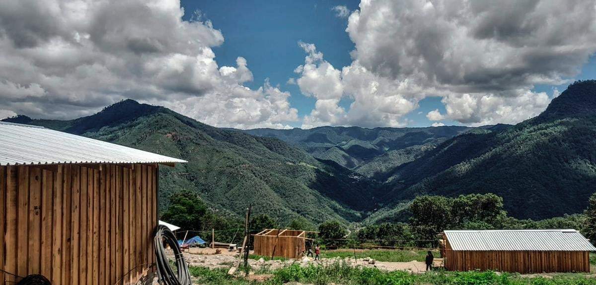 Sierra oaxaqueña. Bosques en disputa