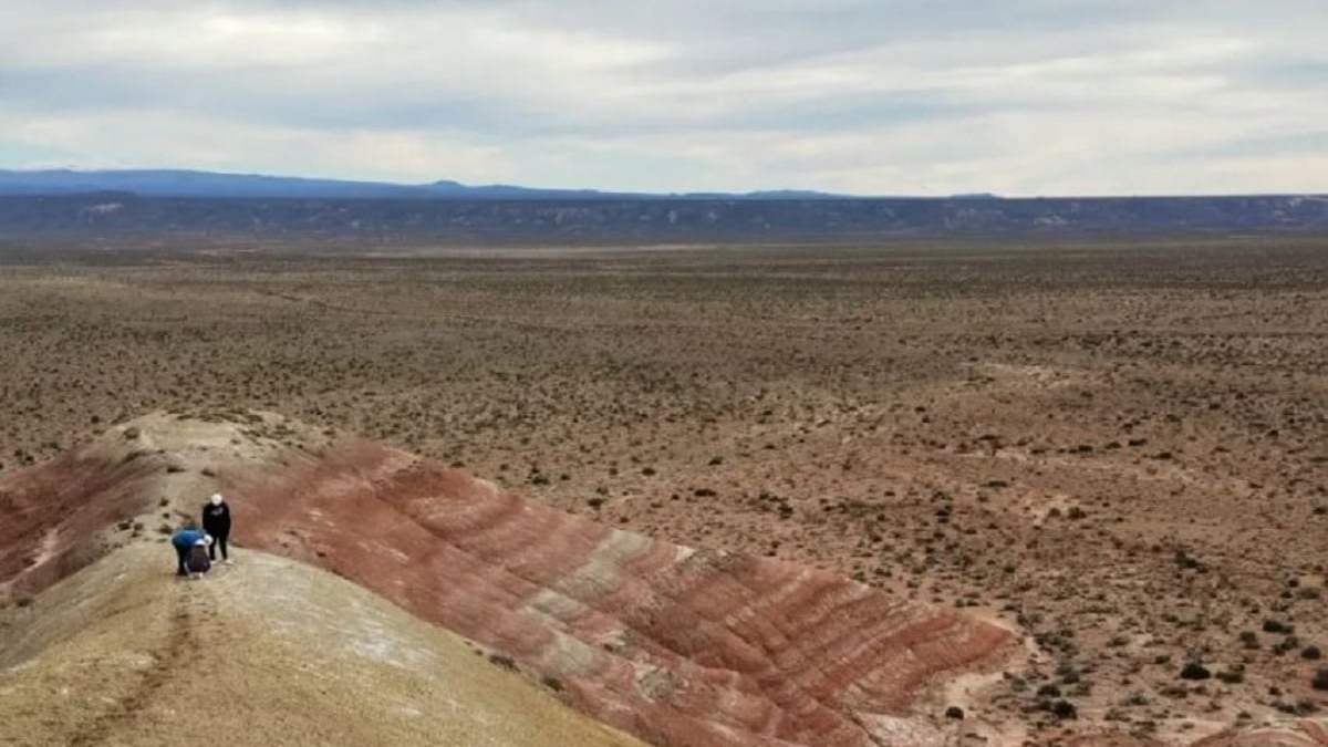 Con la nueva herramienta los productores podrán habilitar sus guías mineras e imprimirlas directamente a través del sistema. Fuente: (Gobierno de Neuquén)
