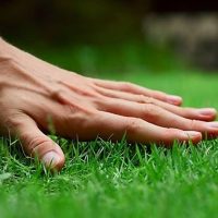 El truco que no todos los jardineros comparten para tener un césped más bonito y sano todo el otoño-invierno