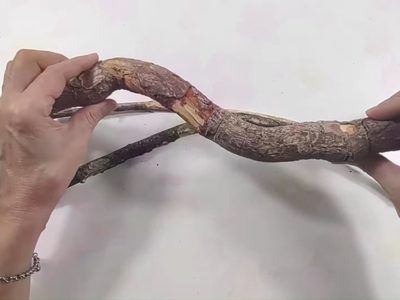 No tires esa ramita seca ni frascos de vidrio: convertilos en un colgante para plantas que enamora