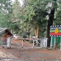 Integrante de la comunidad mapuche dijo que buscan una salida pacífica al conflicto por el camping Correntoso
