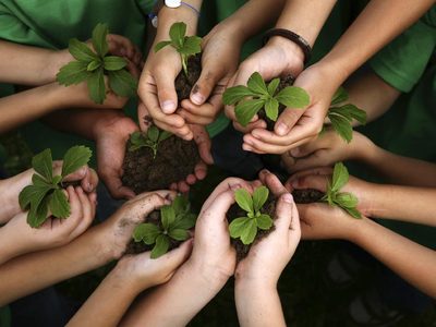 Efemérides: cada 26 de enero se celebra el Día Mundial de la Educación Ambiental