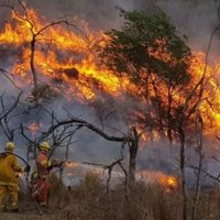 Villa La Angostura se adhirió a la emergencia ígnea impuesta para prevenir nuevos incendios