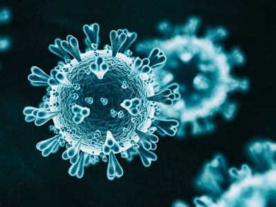 Coronavirus en Neuquén: confirmaron 5 nuevos casos positivos